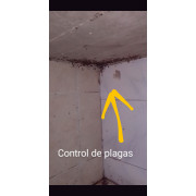 Imagen - Fumigaciones control de plagas...